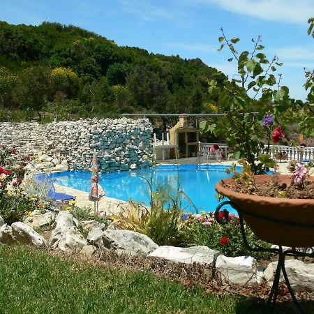 Angela Apartments Pool Gardens And Sea Views Agios Stefanos Avliotes  Luaran gambar
