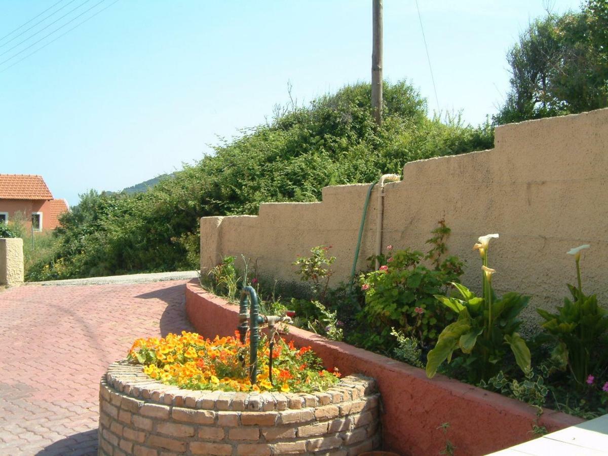 Angela Apartments Pool Gardens And Sea Views Agios Stefanos Avliotes  Luaran gambar